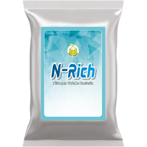 n-rich